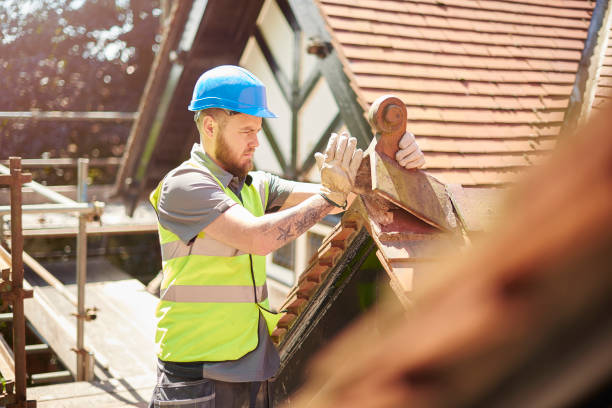 Best Roof Gutter Cleaning  in Hernando, MS